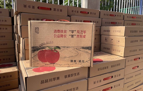 极速电竞“扶贫助农，振兴乡村”活动